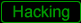 Software Hacking
